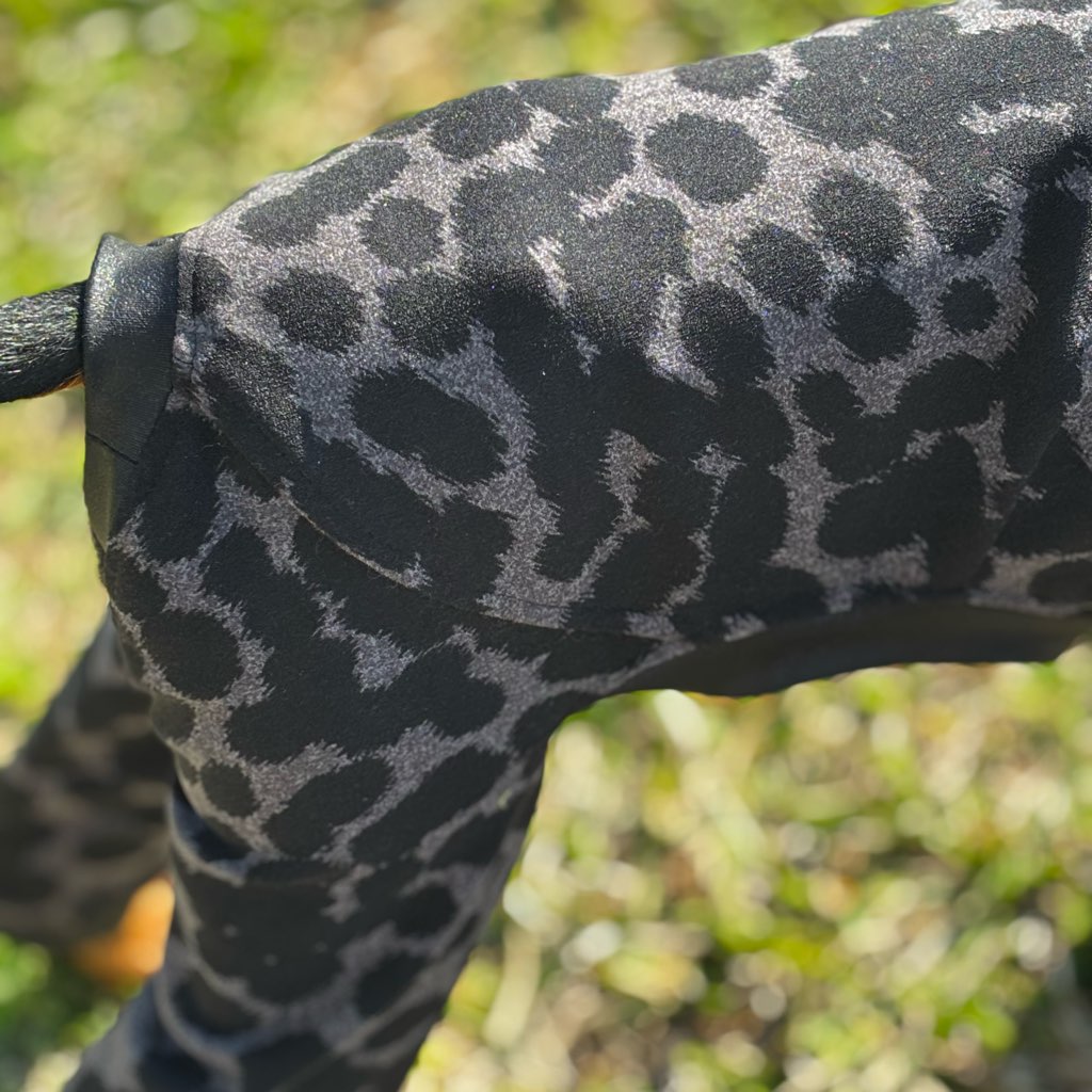 クリックで画像を表示