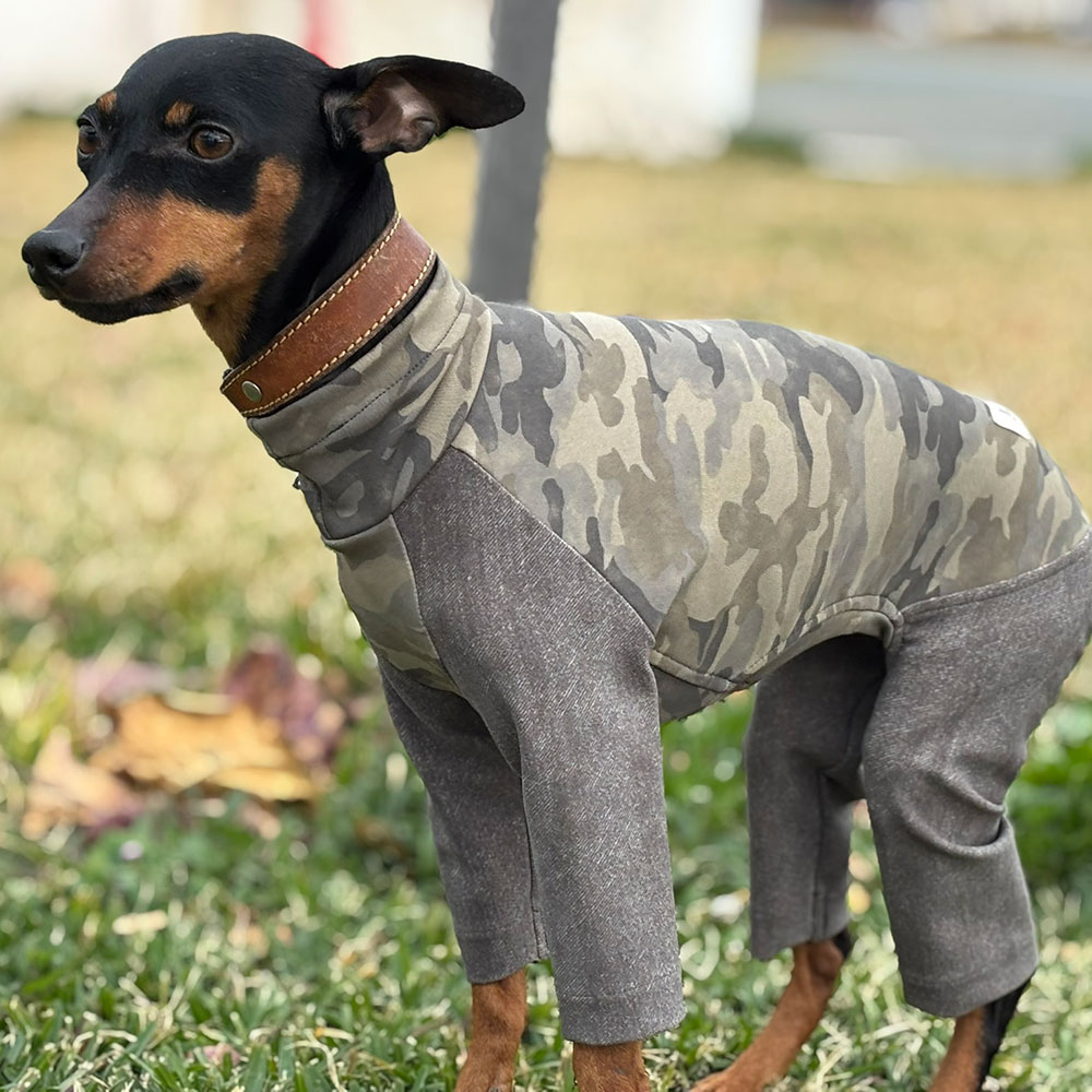 クリックで画像を表示