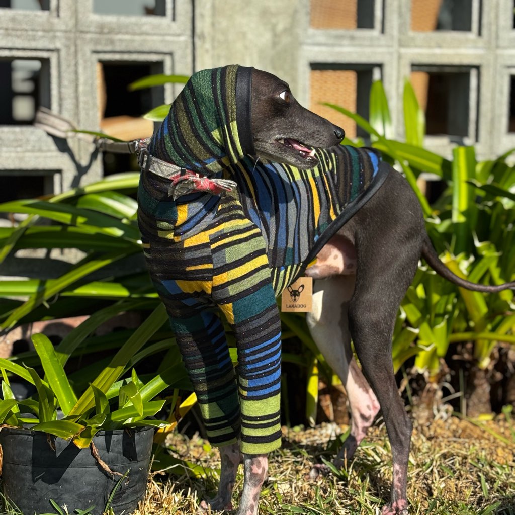 クリックで画像を表示