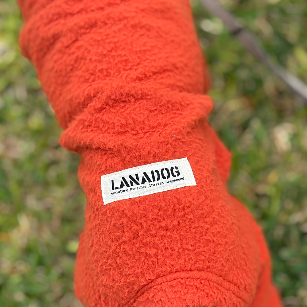 クリックで画像を表示