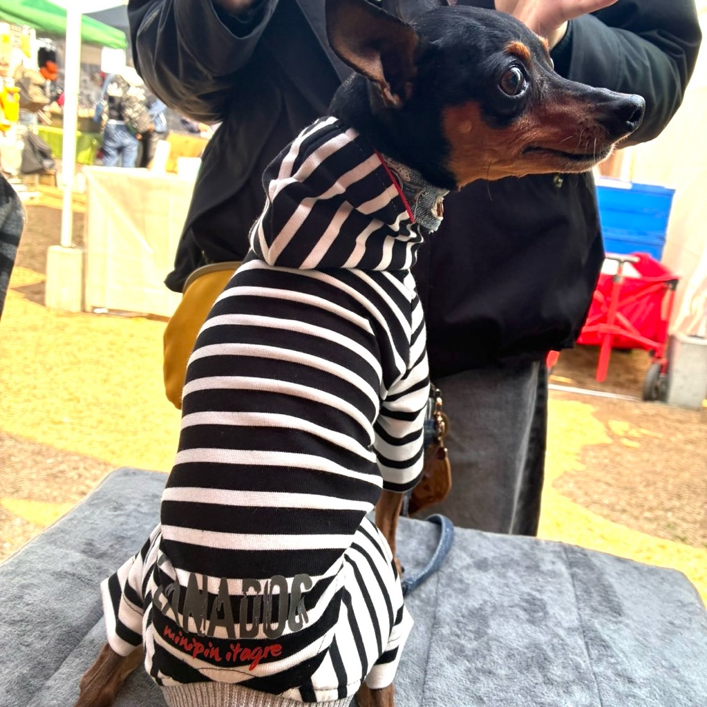 クリックで画像を表示