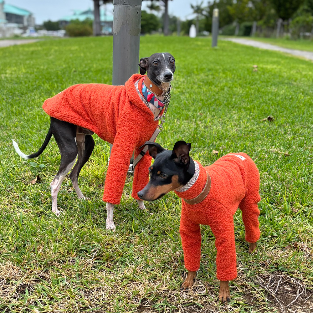 クリックで画像を表示