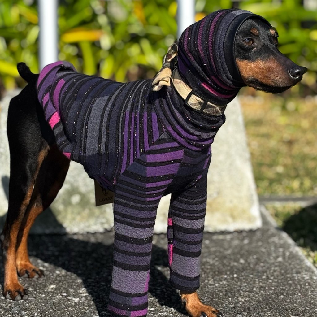 クリックで画像を表示