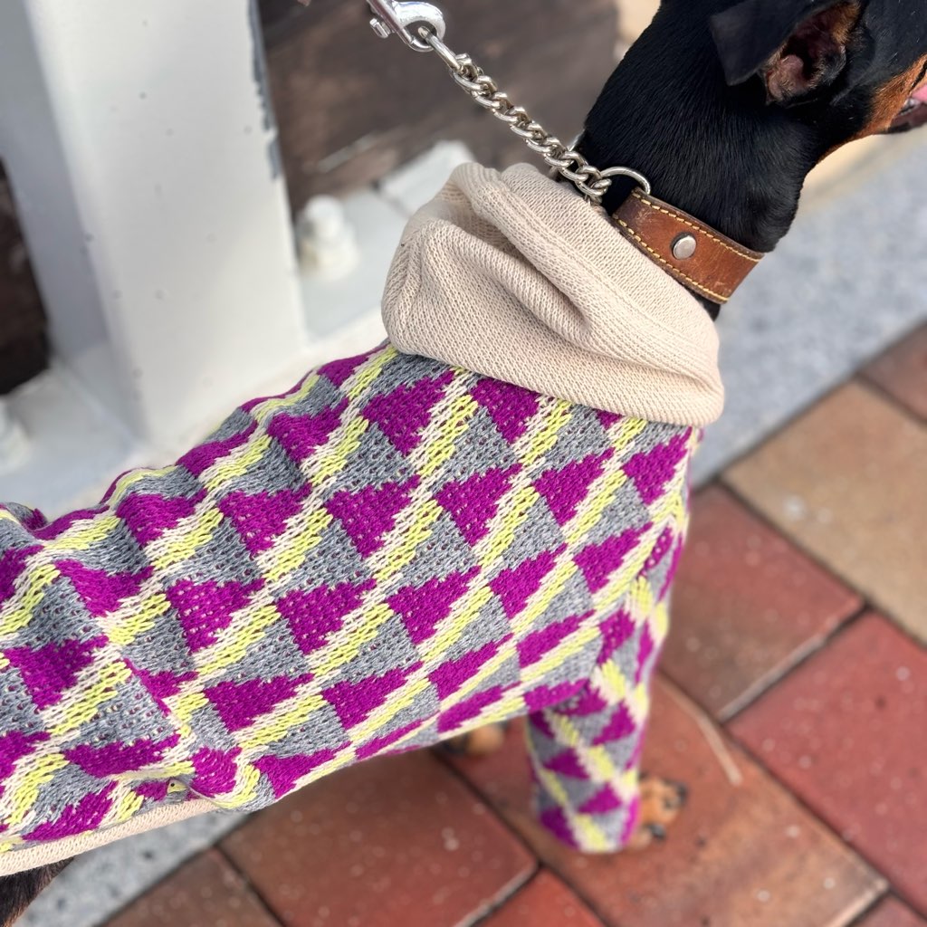 クリックで画像を表示