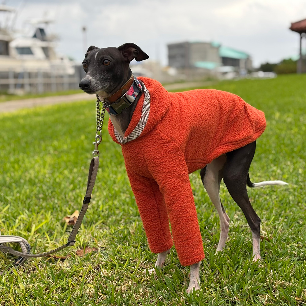 クリックで画像を表示