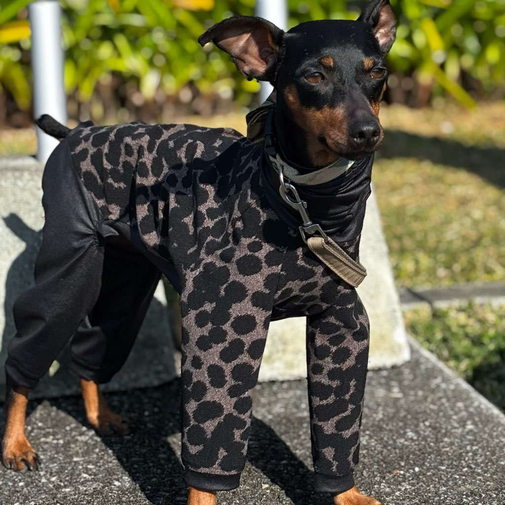 クリックで画像を表示