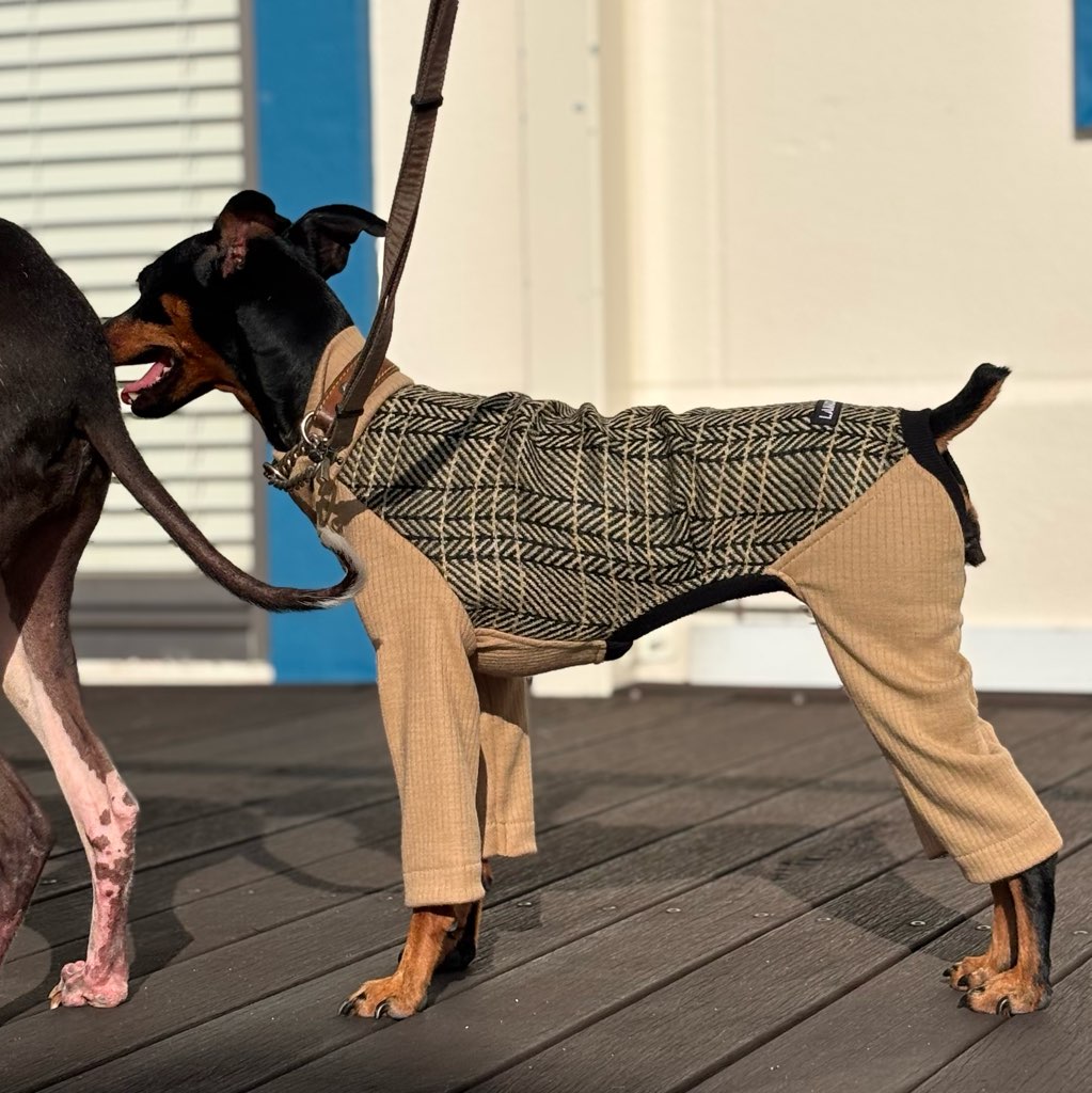 クリックで画像を表示