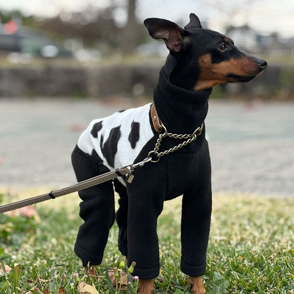 クリックで画像を表示