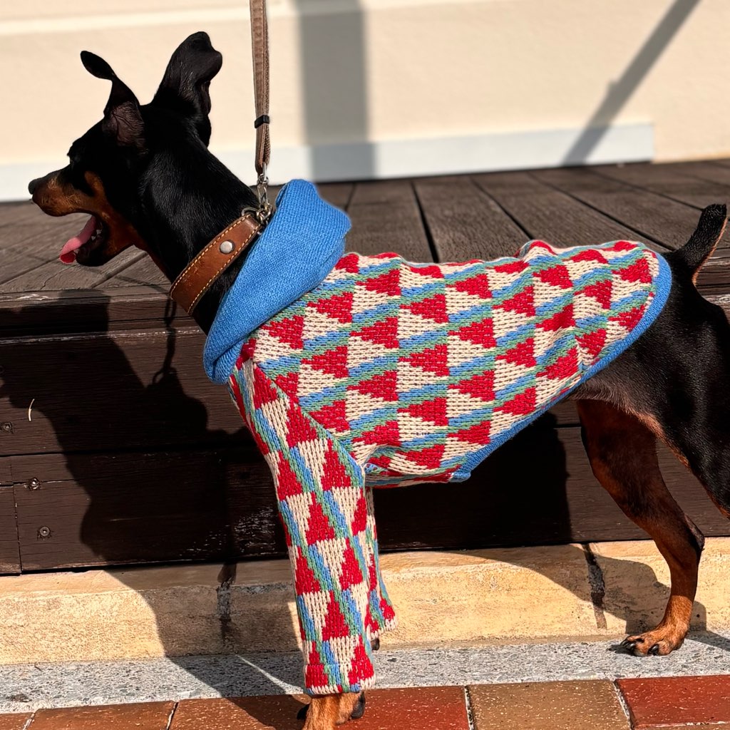 クリックで画像を表示