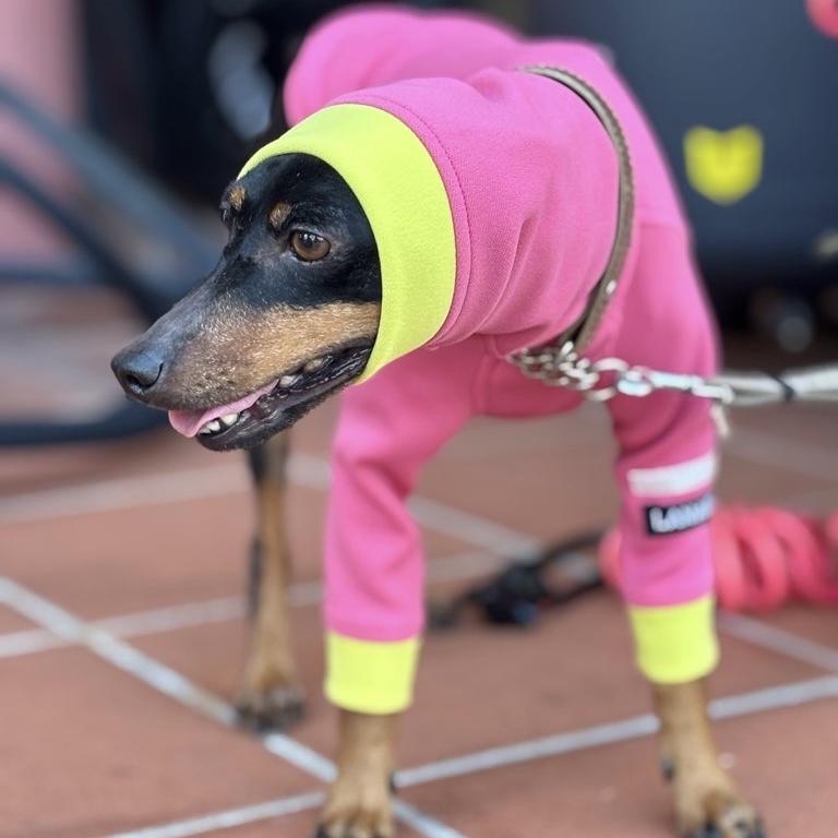 クリックで画像を表示