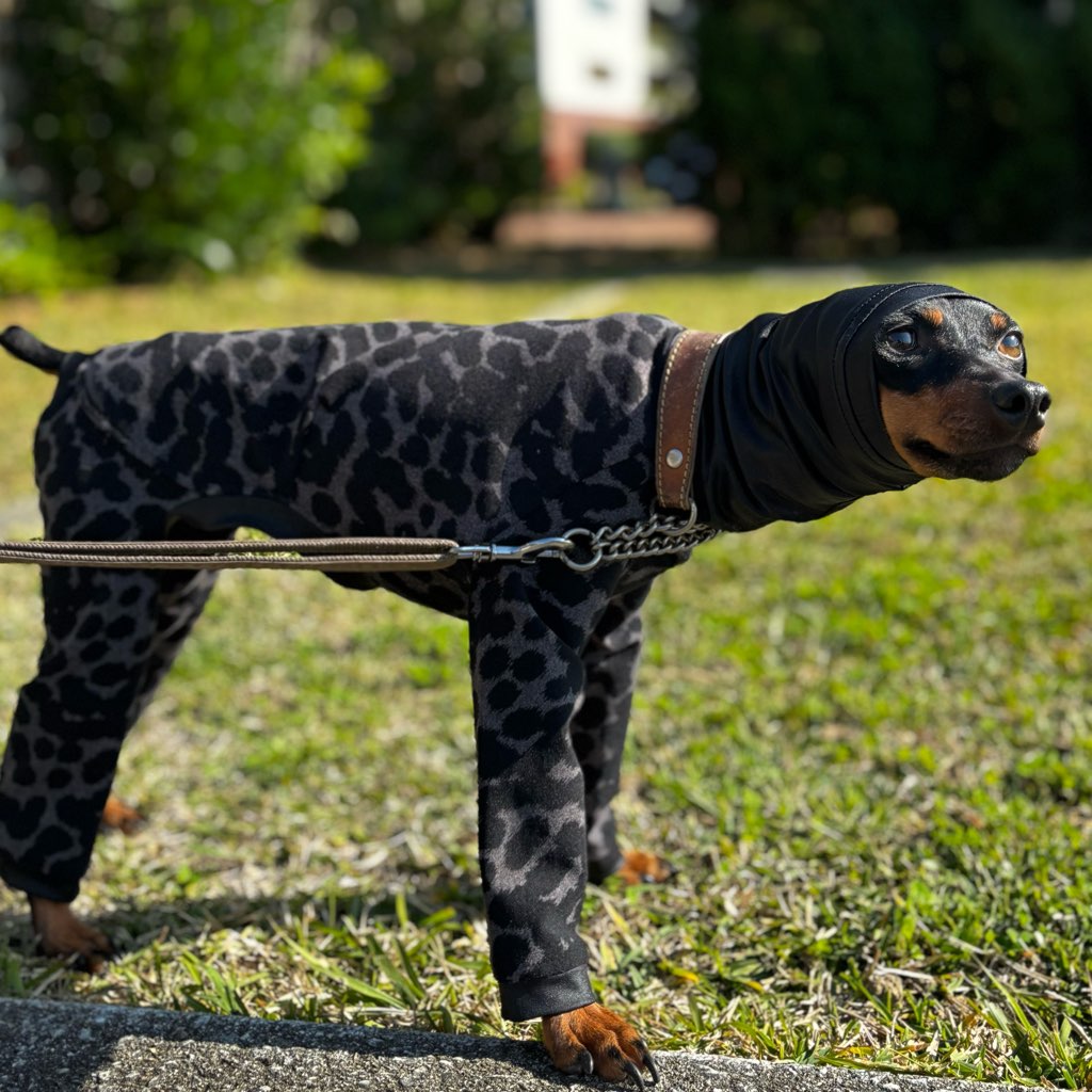 クリックで画像を表示