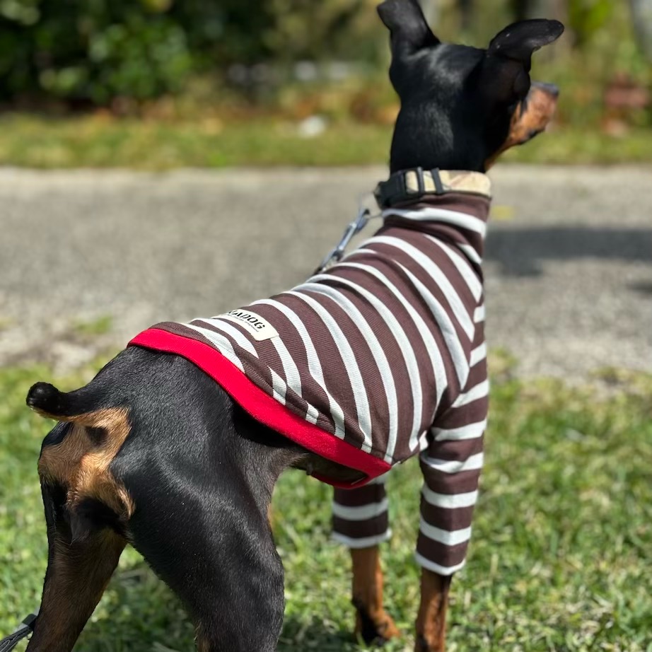 クリックで画像を表示