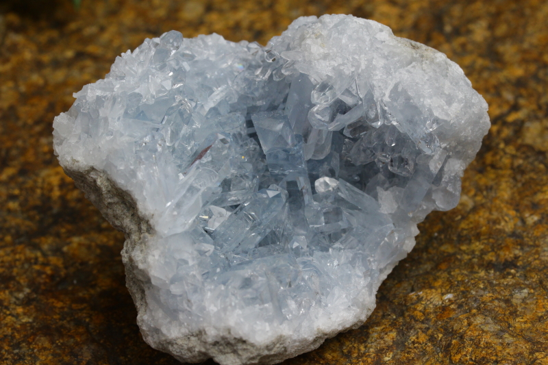 クリックで画像を表示