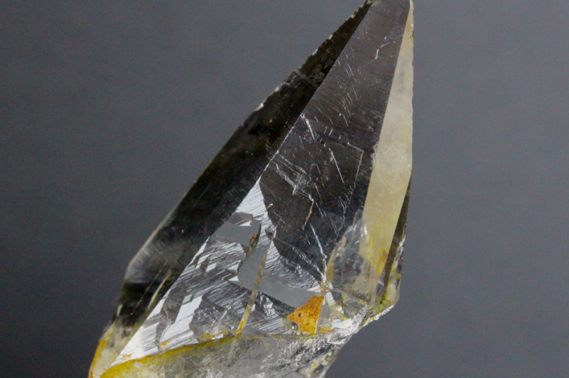 クリックで画像を表示