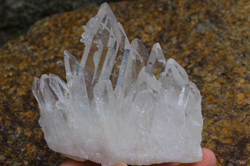 クリックで画像を表示