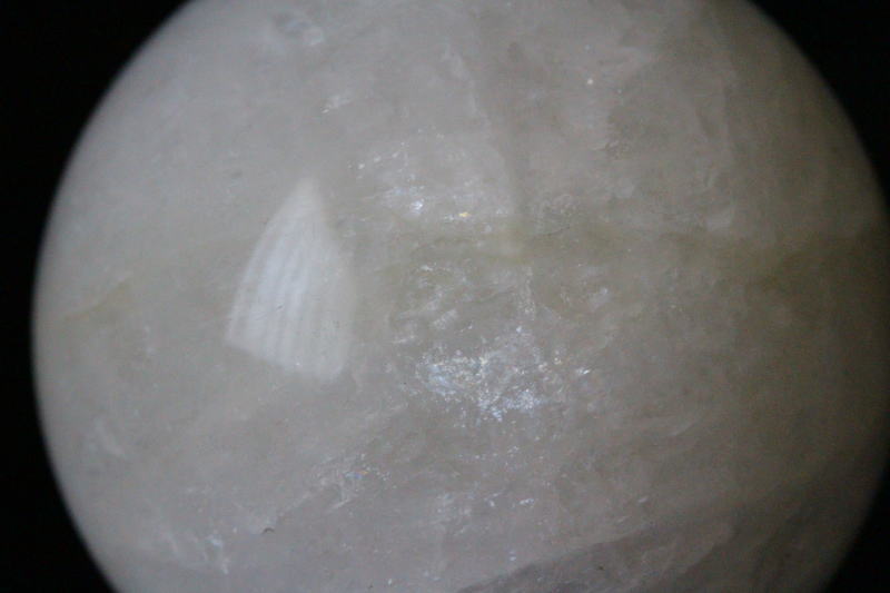 クリックで画像を表示