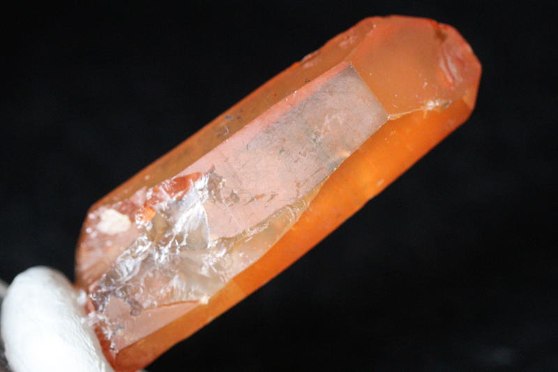 クリックで画像を表示