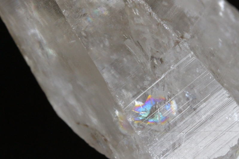 クリックで画像を表示