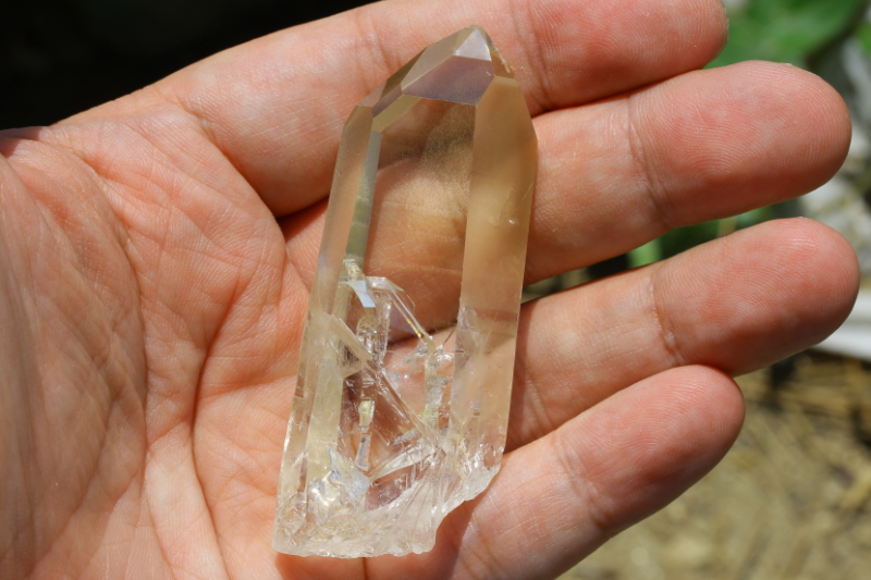 クリックで画像を表示