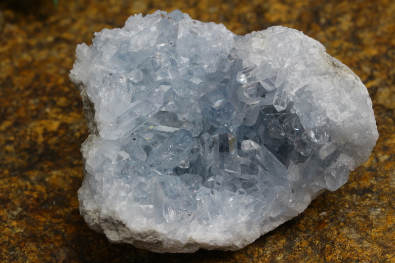 クリックで画像を表示