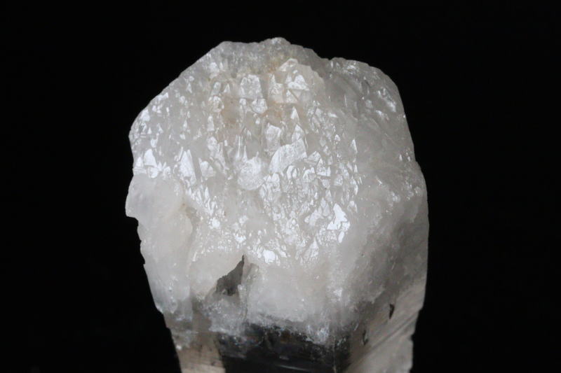 クリックで画像を表示