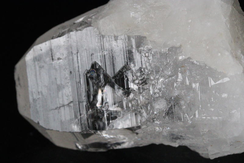 クリックで画像を表示