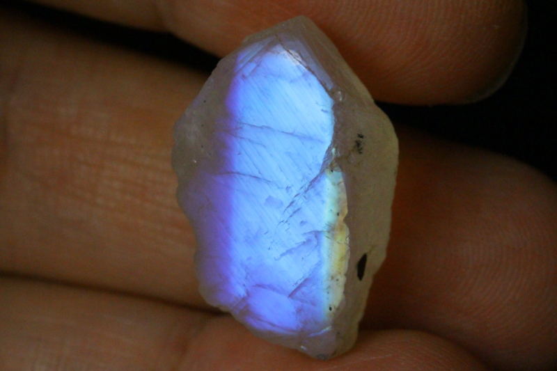 クリックで画像を表示