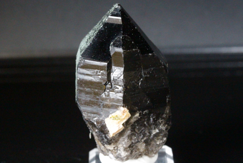 クリックで画像を表示