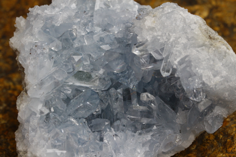 クリックで画像を表示