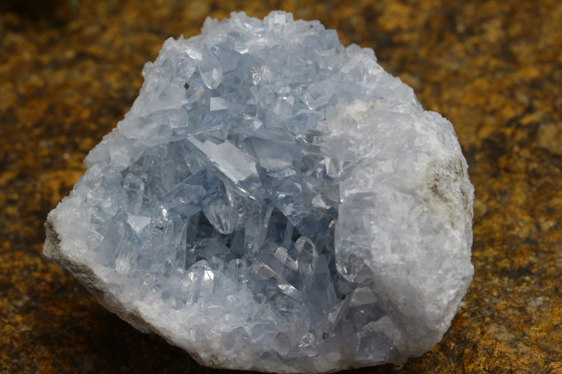 クリックで画像を表示