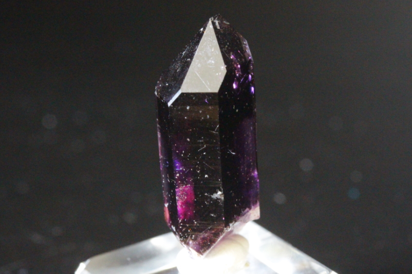 最高品質神聖な愛のエネルギー幻のブランドバーグ産ディープマゼンタ