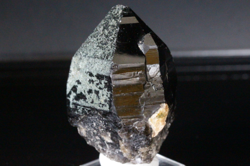 クリックで画像を表示