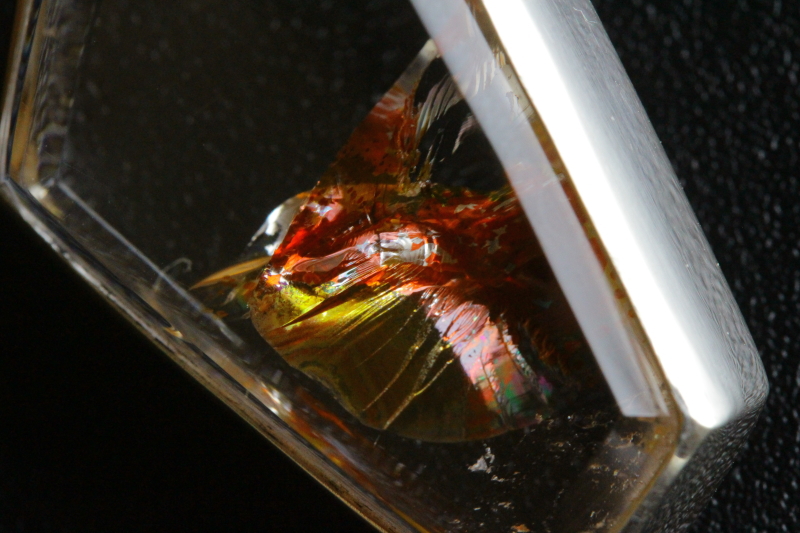 クリックで画像を表示