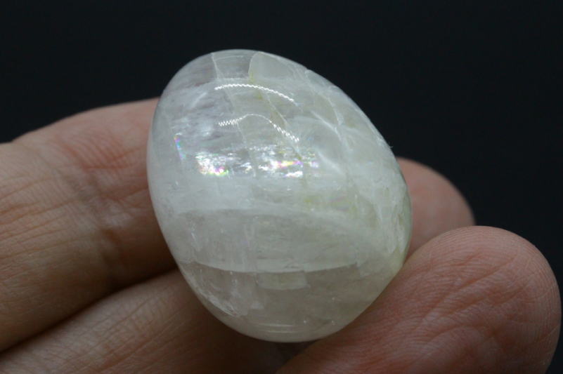 クリックで画像を表示