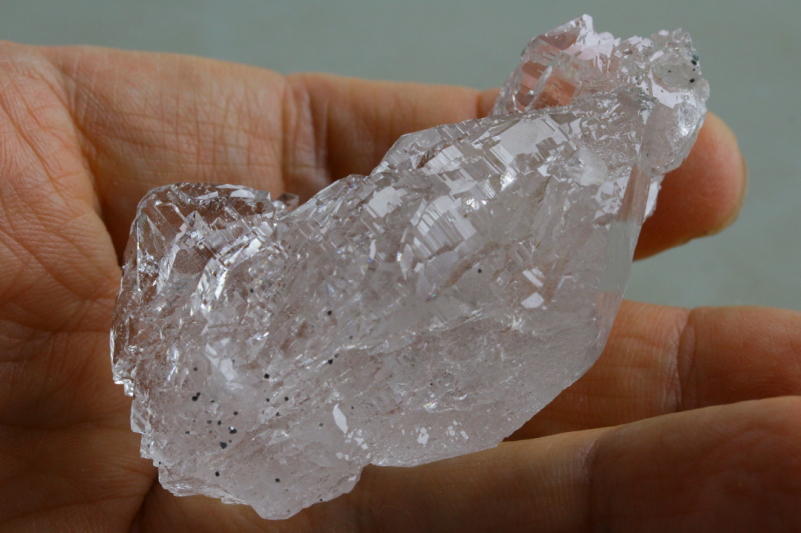 クリックで画像を表示