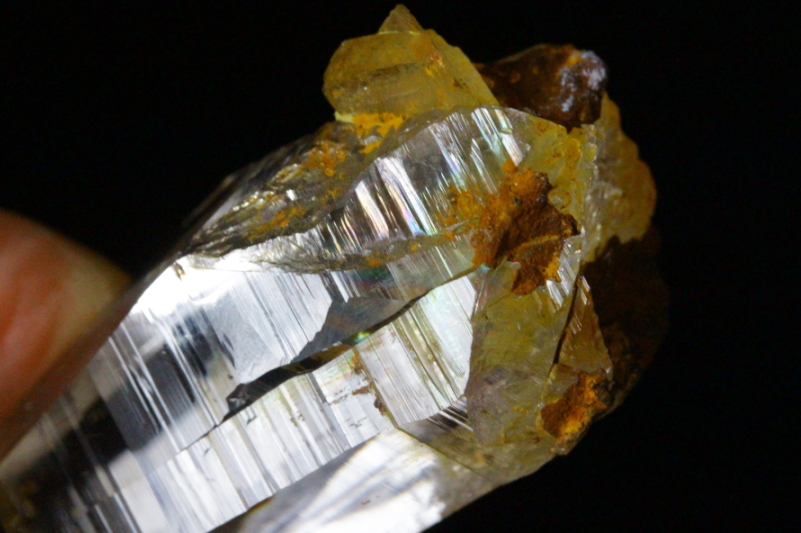 クリックで画像を表示