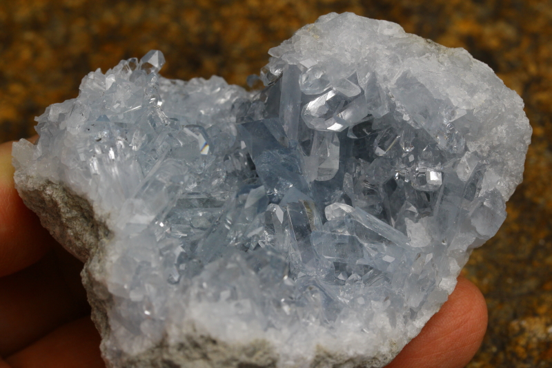 クリックで画像を表示