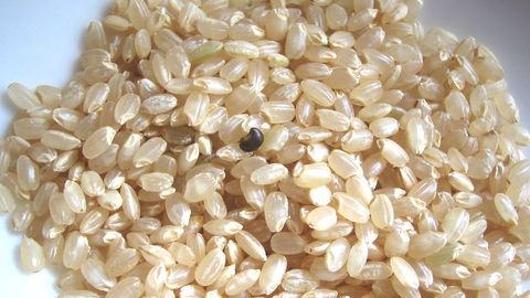 わけあり 無農薬米（自家消費、無選別米）10kg | BIOFACH