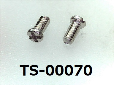 TS-00070) SUS #0特ナベ +- 1.4×2.8 ノジロック付 ＜入数 : 100本 