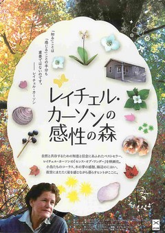 クリックで画像を表示