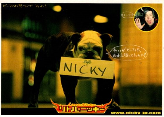 クリックで画像を表示