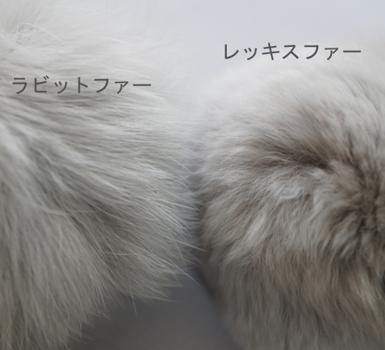 クリックで画像を表示