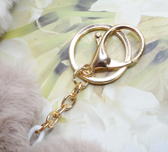 クリックで画像を表示