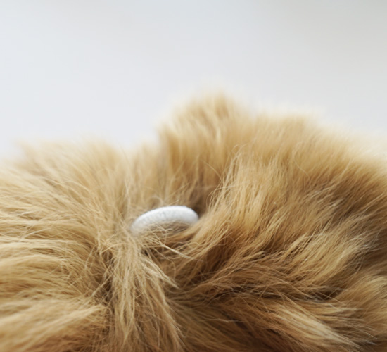 クリックで画像を表示