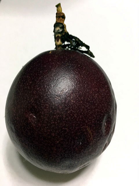 大きくとても甘い最高級パッションフルーツ ブラック 黒玉 | NAGUS ＮＵＲＳＥＲＹ