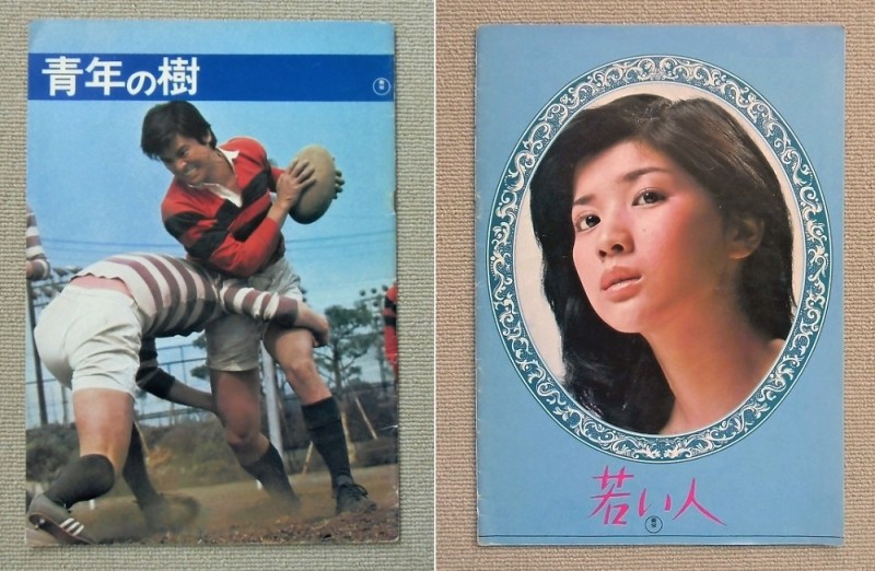 青年の樹／(併映)若い人(1977)・映画パンフレット/ 西村潔〔監督