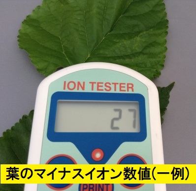 マイナスイオン発生プレート 5cm (ペンダント用 穴あり）ねこ！ セール商品！ | サンエフ健康陶器 ＝ オンラインショップ ＝  ≪安心・安全・おいしい≫