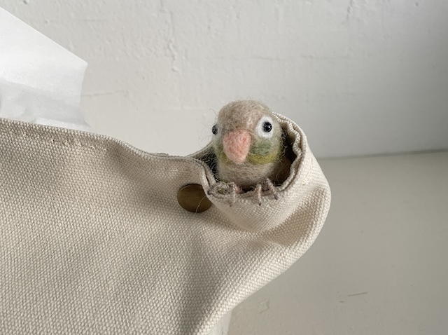 ティッシュカバー ウロコインコシナモン(255) | inkonite いんこにっと