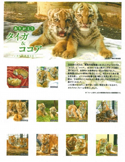 ありがとう「タイガ」＆「ココア」切手シート＋ランダム缶バッジセット