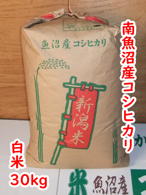 令和7年/南魚沼産コシヒカリ白米30kg | 岡村商店